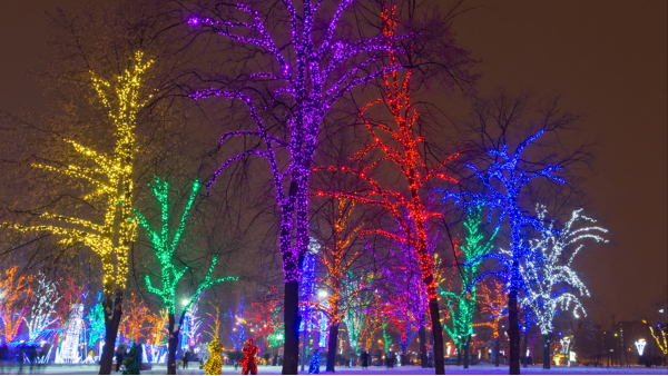 公園樹木亮化要符合哪些要求？