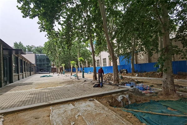 鄭煤機集團1985芝麻街樹木亮化工程施工前