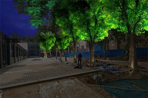 鄭煤機集團1985芝麻街樹木亮化工程施工后