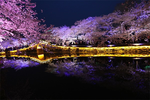 如何判斷一個(gè)照明工程公司是否合格？