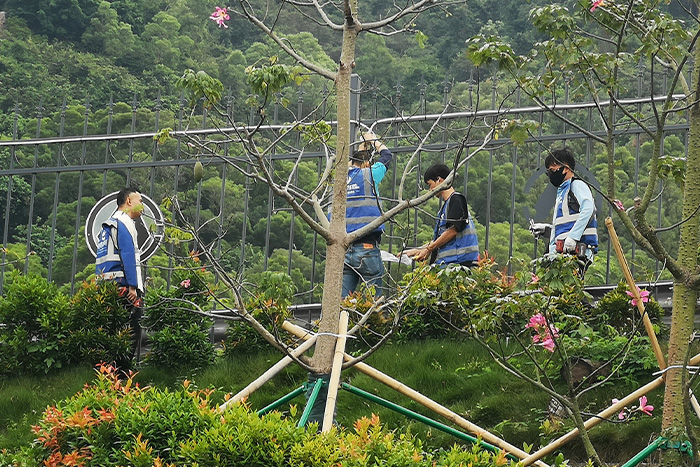 明亮照明集團(tuán)香港亮化項(xiàng)目施工現(xiàn)場(chǎng)