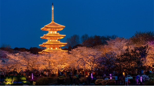 園林照明設(shè)計中需要注意哪些問題？